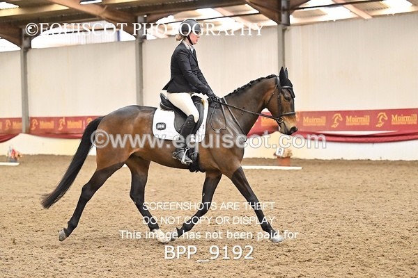 BPP_9192 - ELEM 6