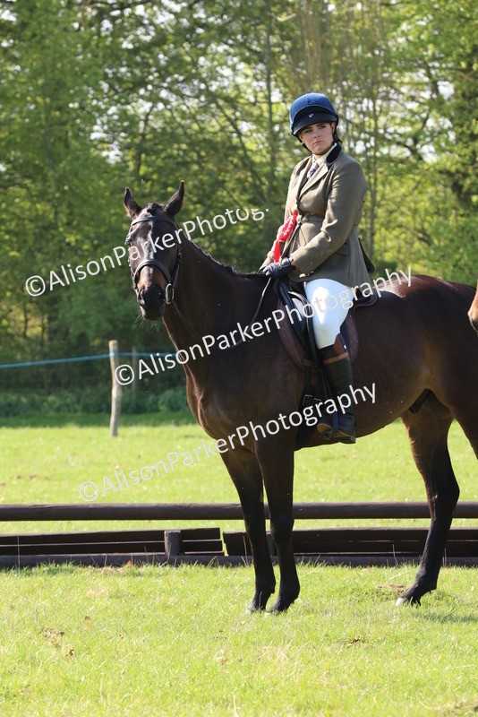 20250427-0592 - Class 17 - Novice Showing