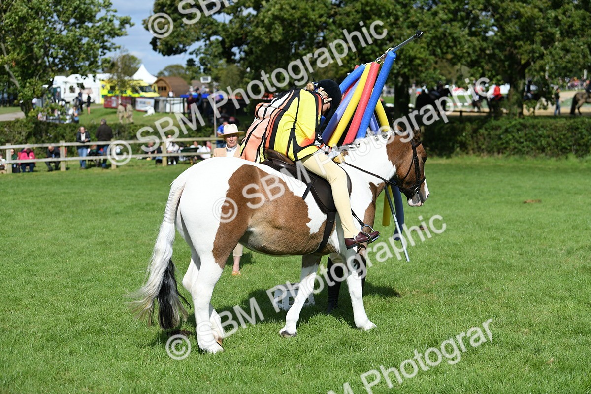 SBM_47119 - S12 - Family Horse & Pony