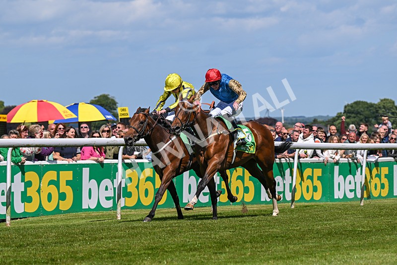 080624-Race 3-Shareholder-1024 - Race 3