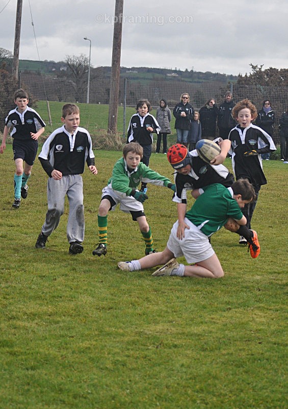  - sports  rugby soccer gaelic pics