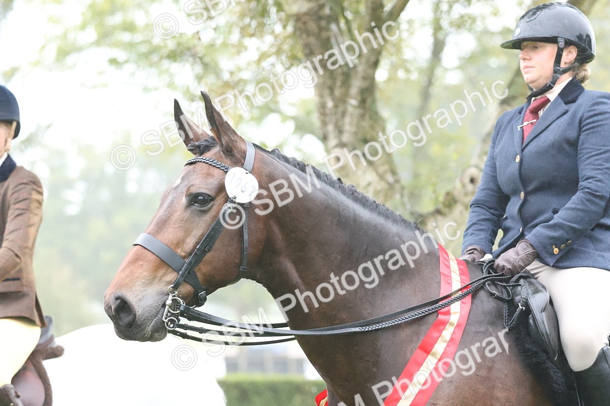 SBM_73236 - Super Supreme Championship(Sun)