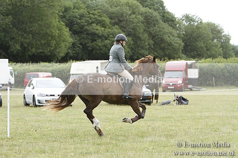 BVR160717-418 - Ring 3 BVRC Show 16/07/17