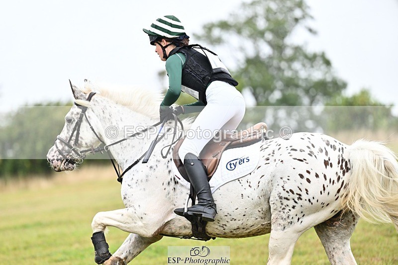 TS_b2381312 - SAT BE 90 Recovered Files fence 8