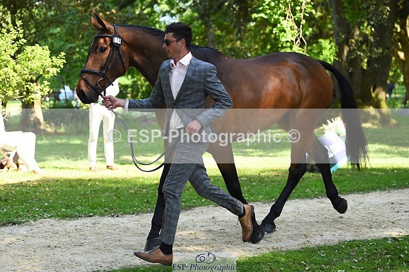 230524-154210-00443 - 374-ISLANDWOOD_THE_RISING-Sebastian_Roldan_Olivera-WEDTrotUp+DR