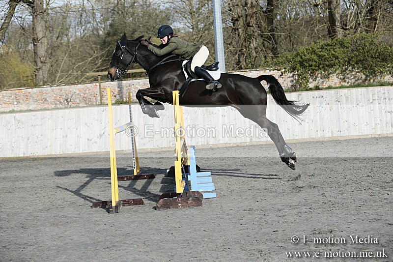 BVRC SJ 170319 845 - Bourne Valley Riding Club Showjumping 17/03/19