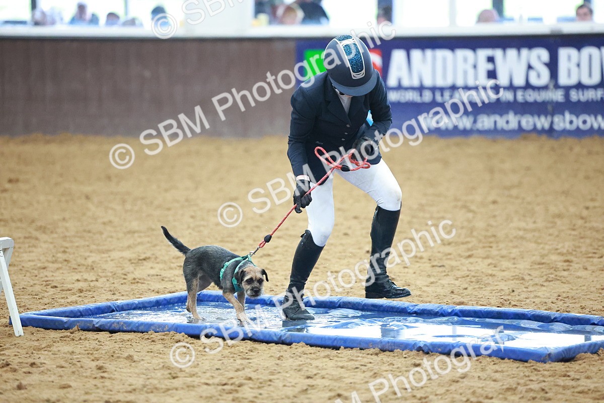 SBM_001658 - Class 3 - Horse & Hound (60cm)