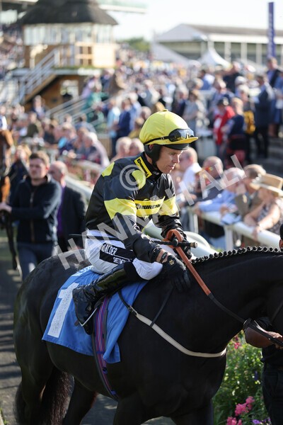 yr08102021r2-4 - Race 2 2.40pm Racing to School EBF Novice Stakes