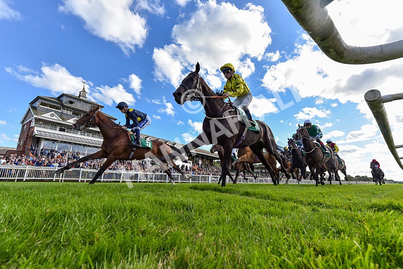 160624-Race 4-Align The Stars-2 - Race 4