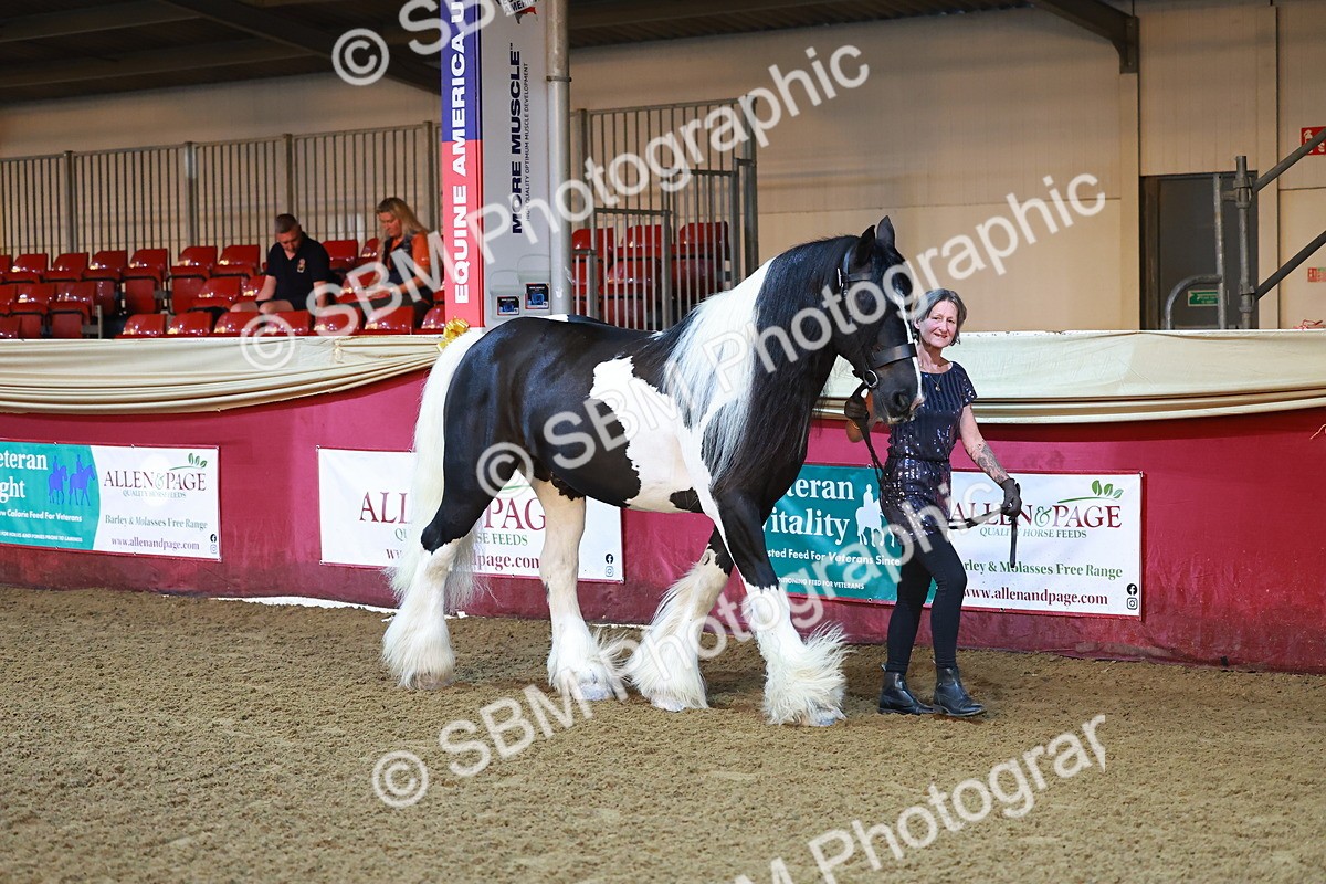 SBM_14673 - Class C - Novelty champ