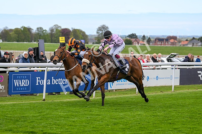 240425-Race 2-Brummell-1070 - Race 2