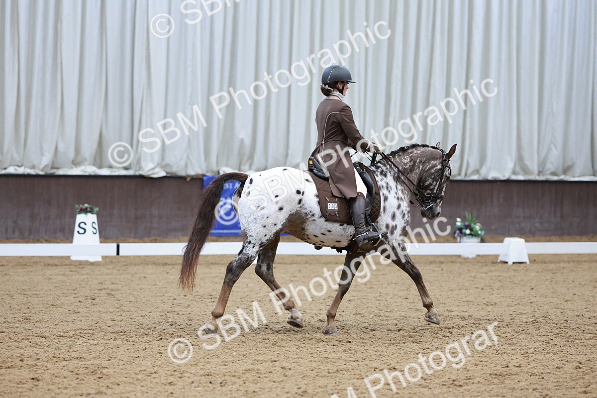 SBM_016547 - Class 5 - FEI INT II - 17.24-18.20