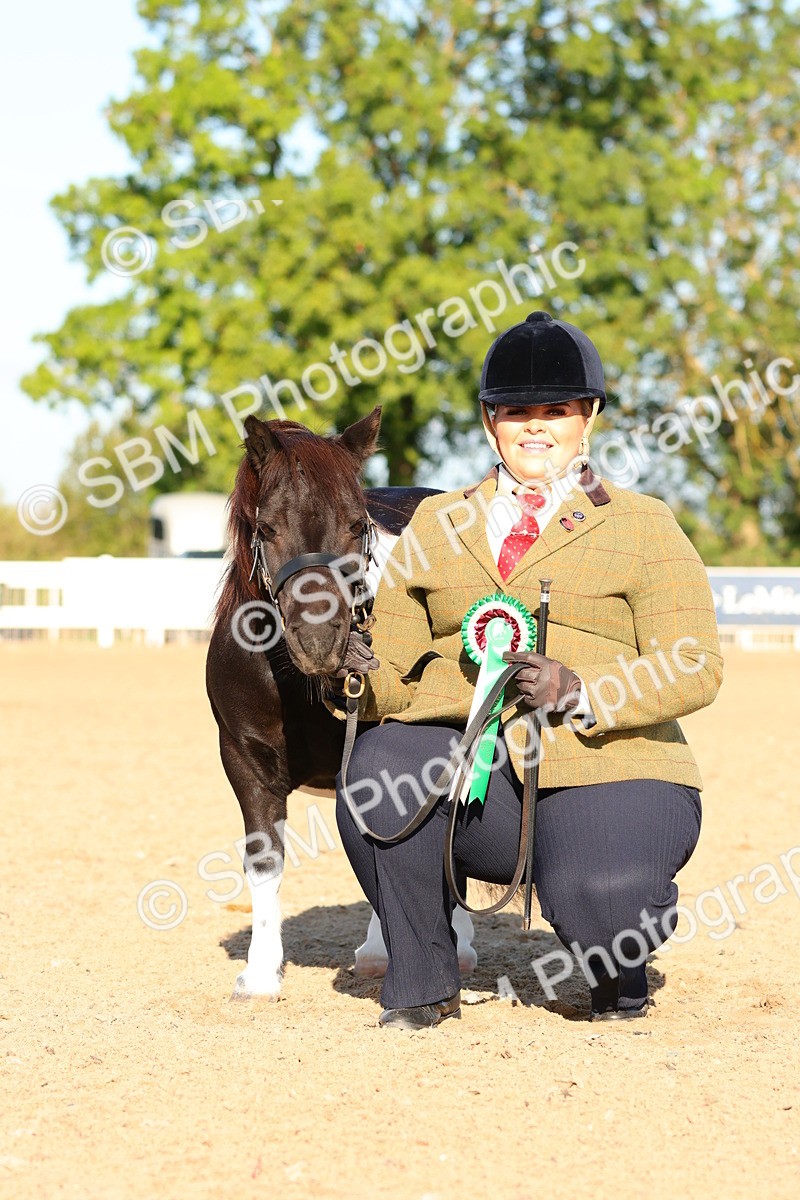 SBM_08094 - Class 201 - Best Turned Out - IH