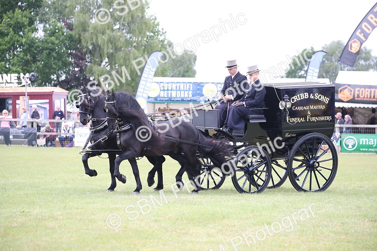 SBM_07031 - Class 16 - Light Trade