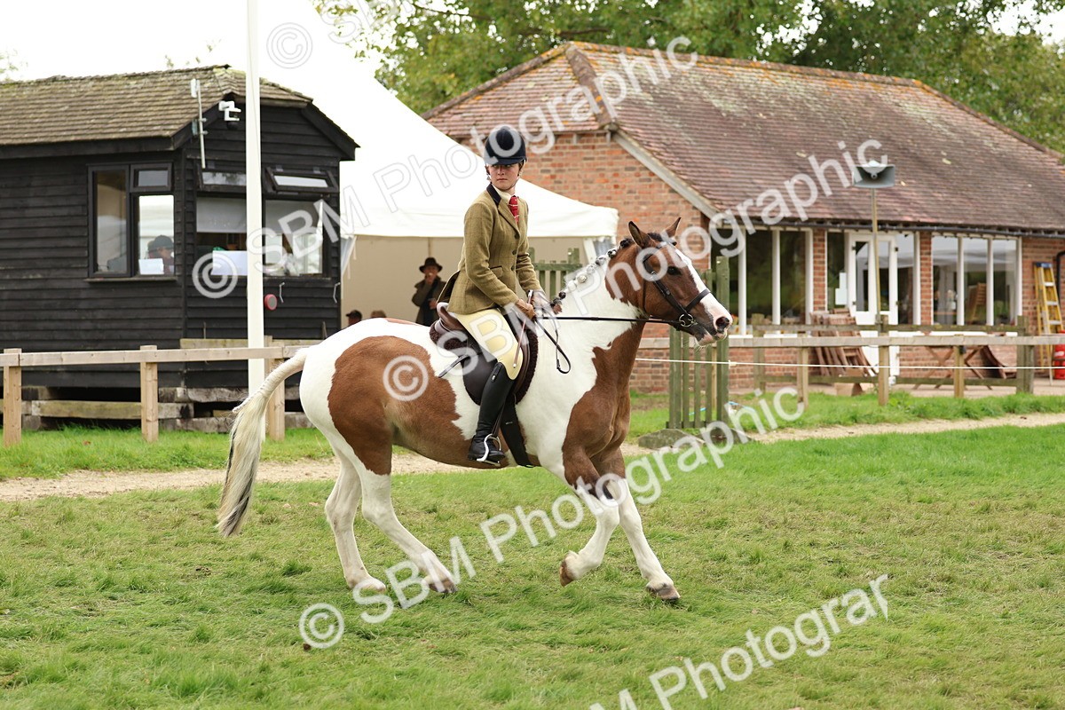 SBM_65201 - S59 - Part Bred Arab & Native Pony Ridden