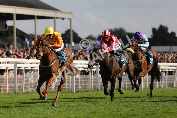 yr20082022r6-11 - Race 6 4.45 pm Julia Graves Roses Stakes