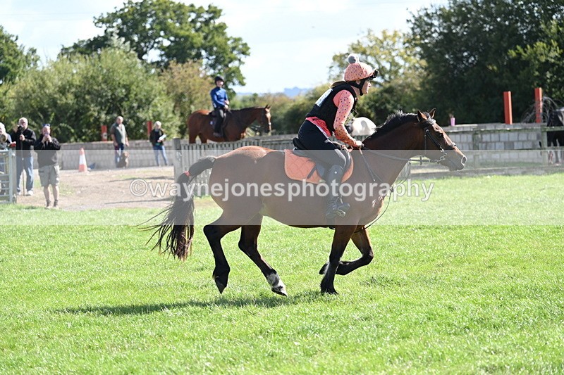 WJ7_1357 - Time 13:56 to 14:24