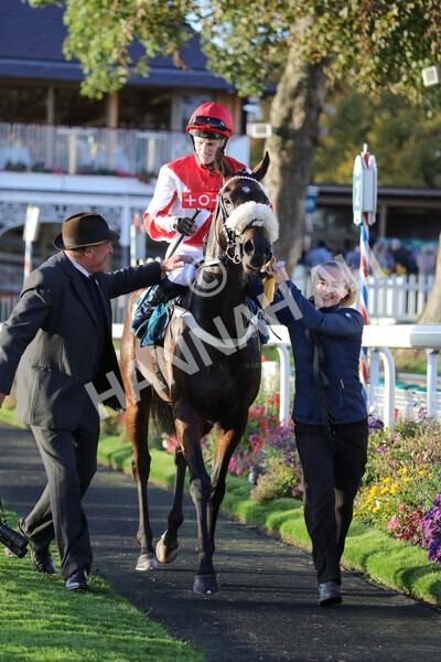 yr07102022r7-40 - Race 7 5.35pm IRE Incentive, It Pays To Buy Irish Stakes