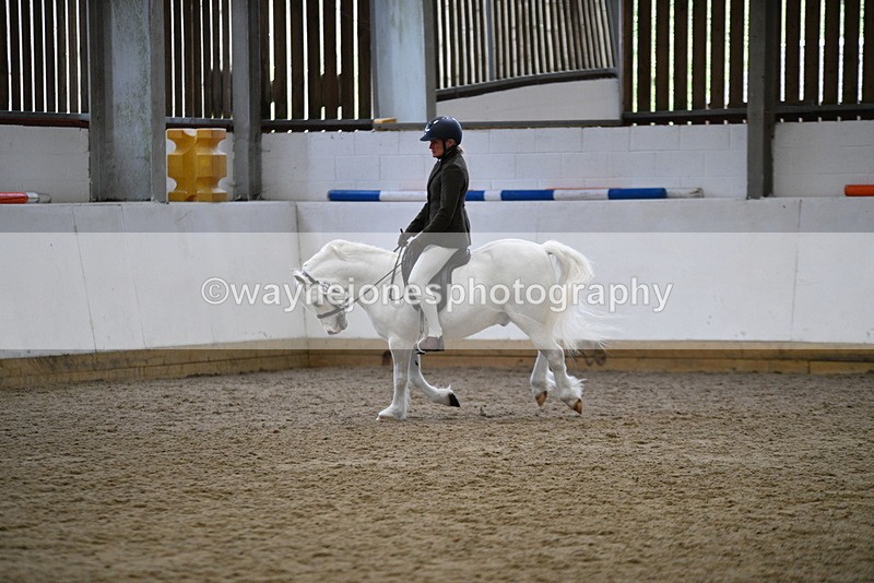 WJ5_6268 - Class 9 Ridden Veteran