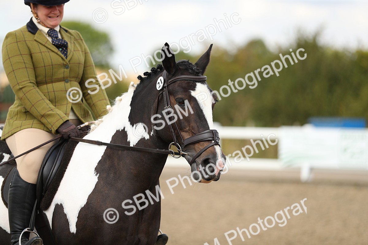 SBM_04754 - Class 46b Style & Performance 50cm (20+)