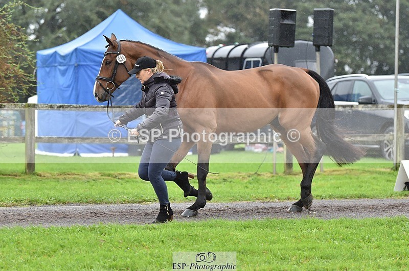 231018-122506-00275 - 034-COOLEY.PARK.MUZE-Gemma.Stevens-TrotUp