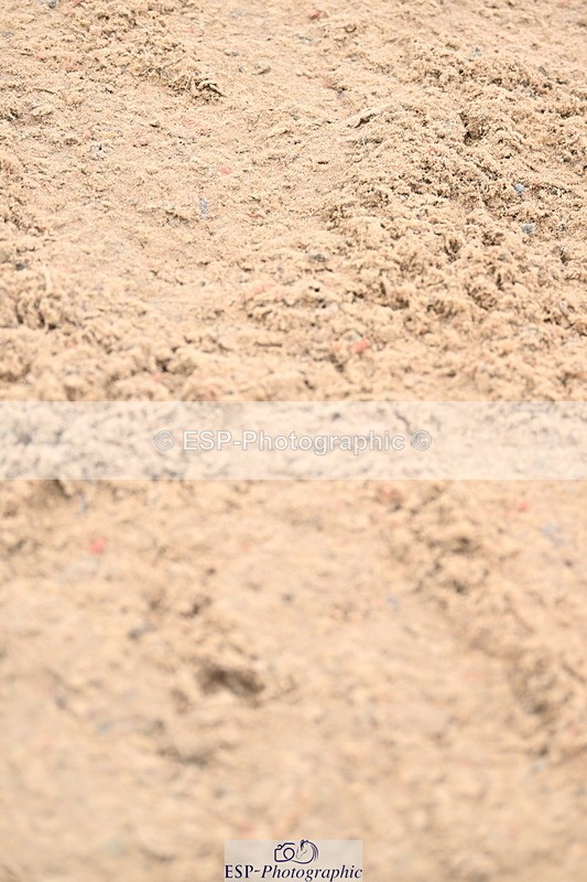 240501A-150415-01206 - Cls 8 Snr Foxhunter and 1.20m Open