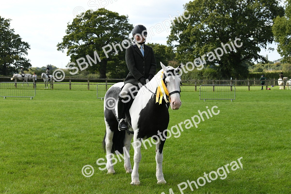 SBM_47272 - S12 - Family Horse & Pony