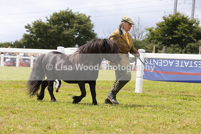 1X9A4755 - Class 35: Veteran In Hand