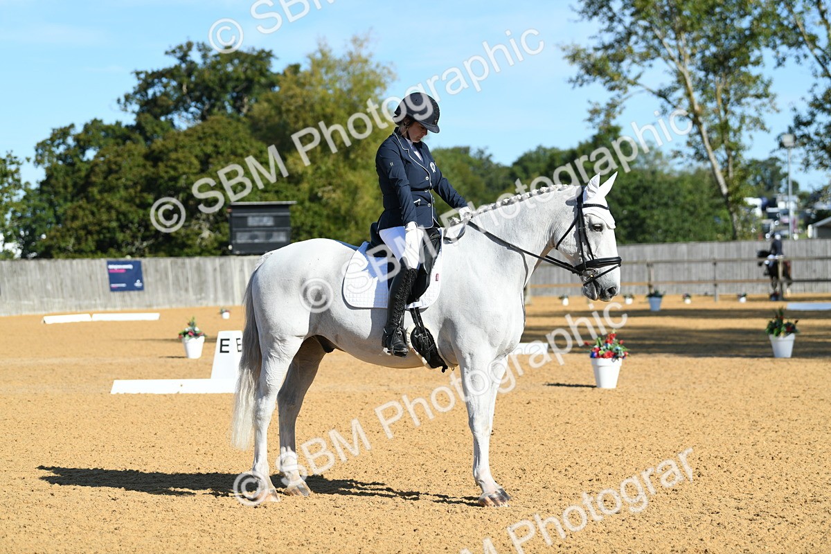 SBM_16263 - D4 - Small Tour Championship - Intro B