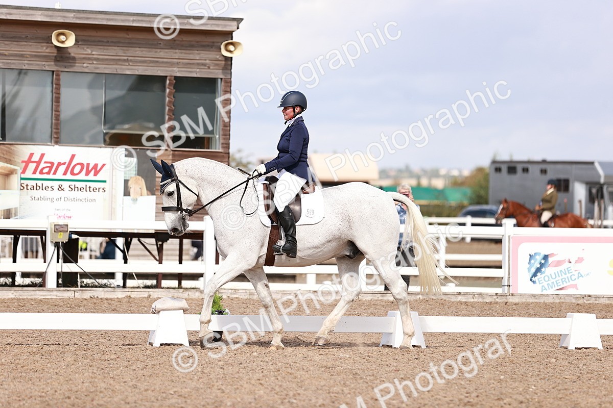 SBM_06577 - Class 39 - Medium 3