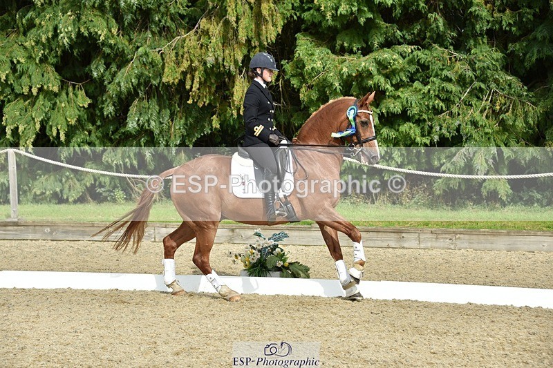 230812-160254-05325 - FEI PSG Bronze Presentations