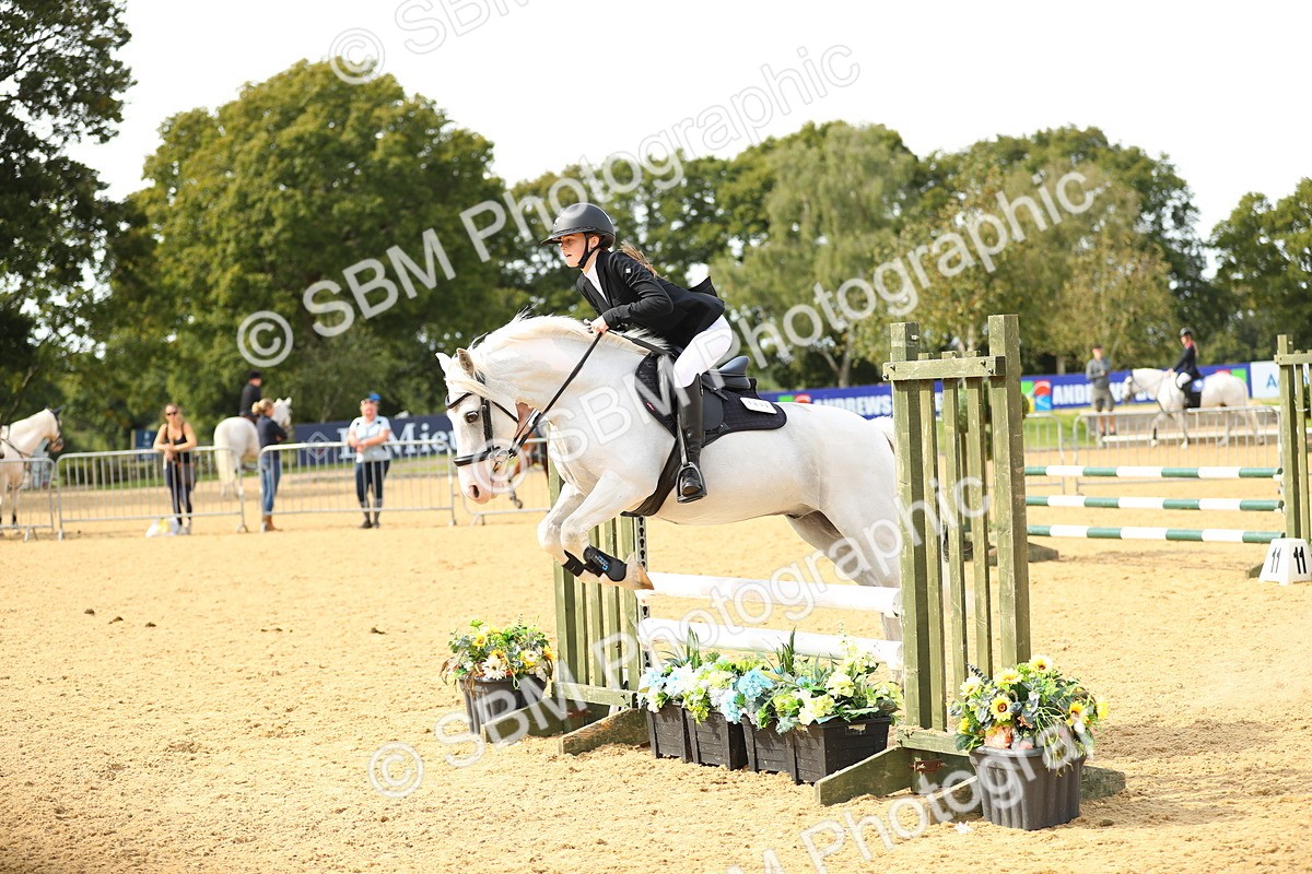 SBM_67271 - J17 - Junior Pony 80cm Championship