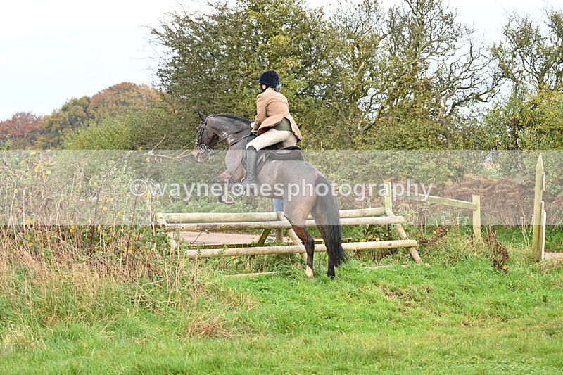 WJ7_0327 - Camera 1 & Last fence