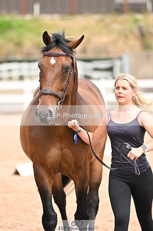 250716-144945-01440 - Trot Up 2.30 to 3.30