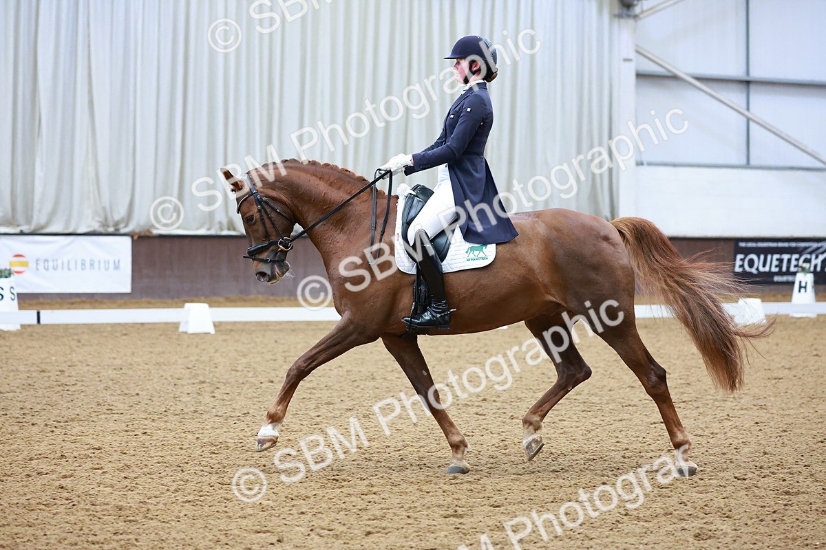 SBM_001159 - Class 12-19-16 - Lusitania-FEI INT I - PYO ADV 1