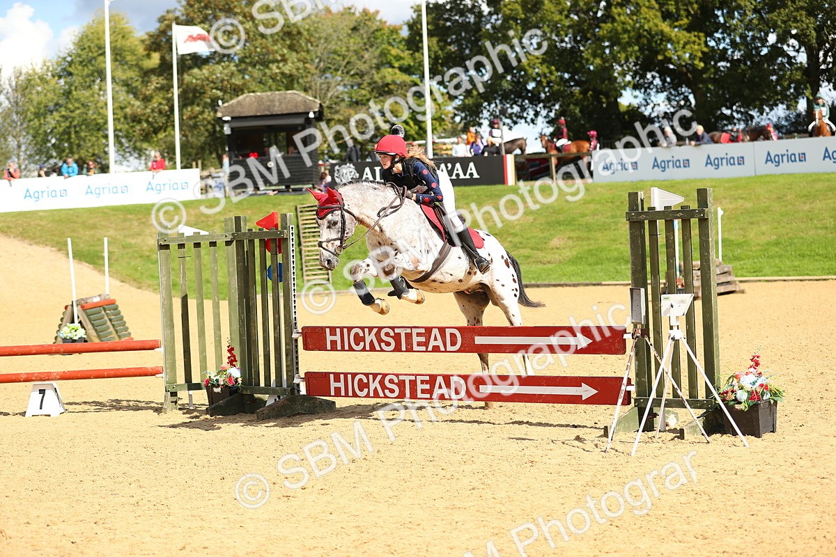 SBM_07571 - E4 Eventers Challenge 80cm Open