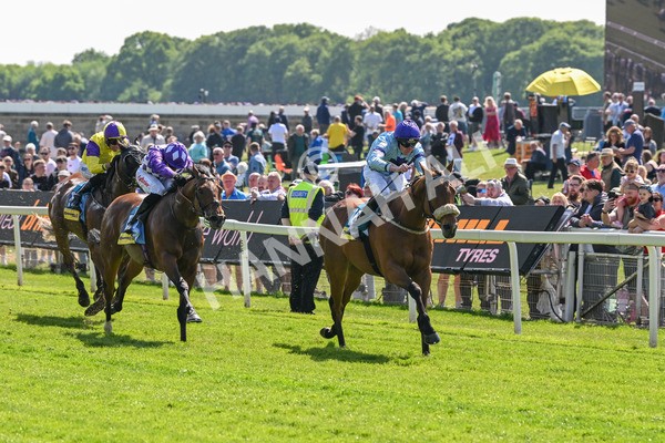 140525-Race 2-Rousing Encore-1804 - Race 2 2.42pm Churchill Tyres Handicap