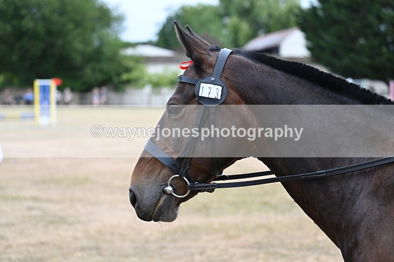 WJ7_1357 - Class 8 Ridden Veterans