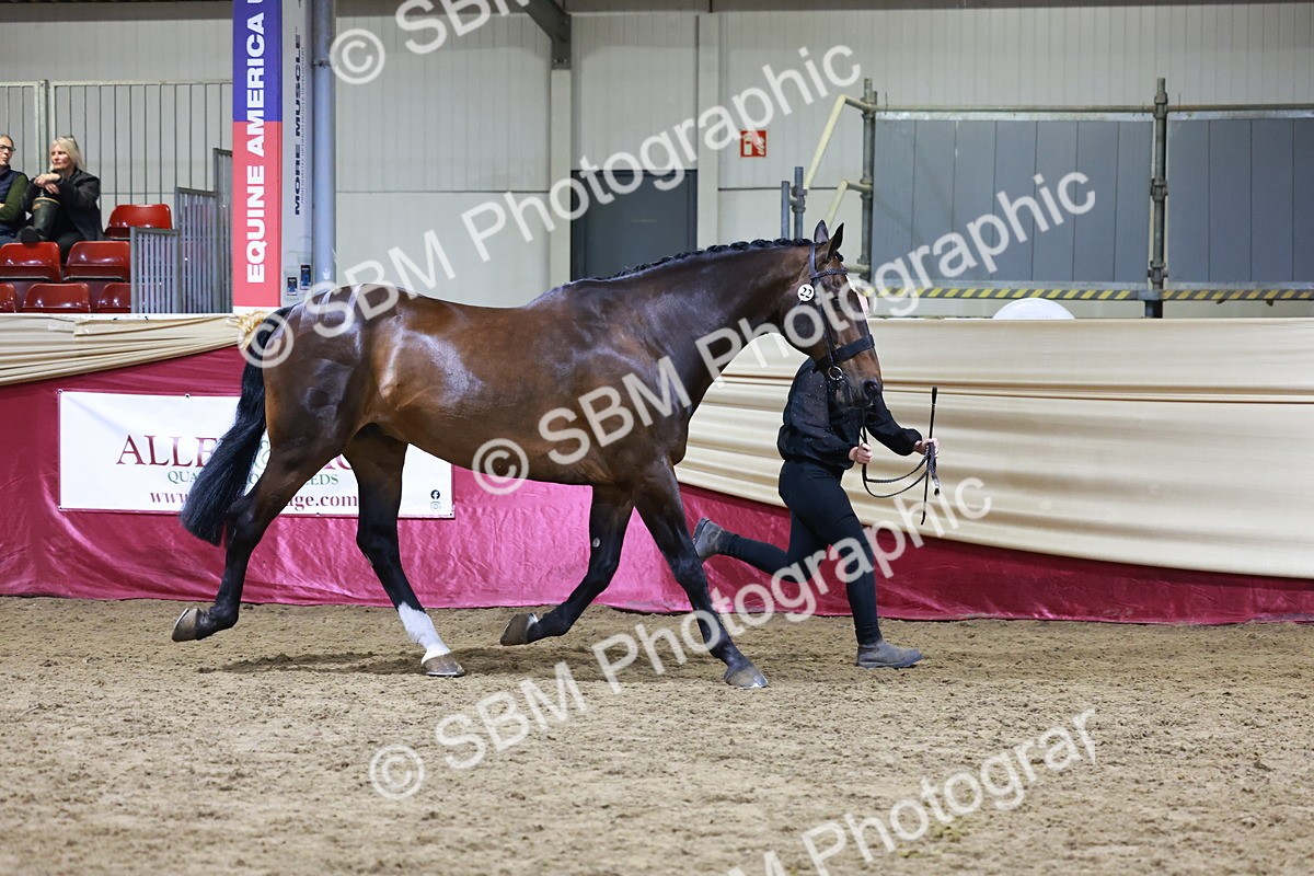 SBM_21201 - Class R - Veteran Champ