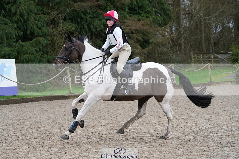 260301A-091108-01531 - NSEA 70-75cm