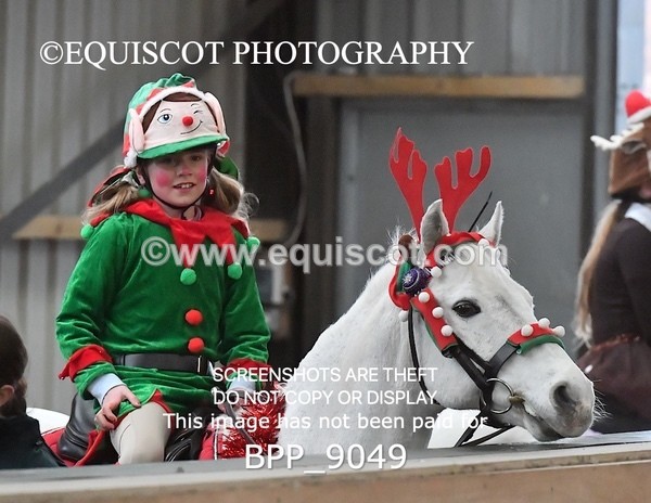 BPP_9049 - CLASS 3 50CM-70CM Pairs Show Jumping