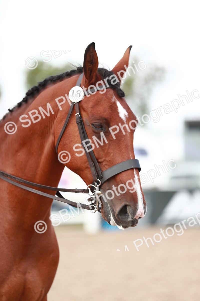 SBM_15513 - Class 213 Ridden Hunter -Large