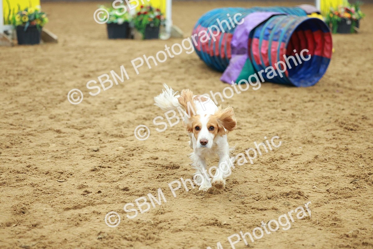 SBM_002532 - Class 3 - Horse & Hound (60cm)