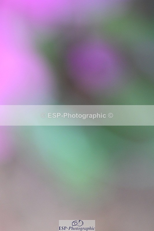 250911-152939-02016 - Cls 15 1.15m Amateur Champ