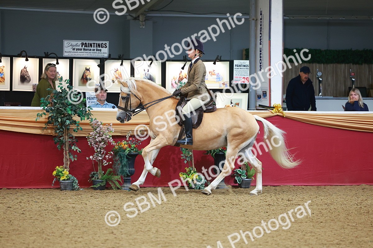 SBM_09787 - Class 102 - HOYS Veteran Qualifier - Ridden Veteran