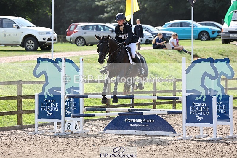 240803-153337-08944 - 270-Taggy_Forester-Bennett-BONZA_MOORTHANROYAL