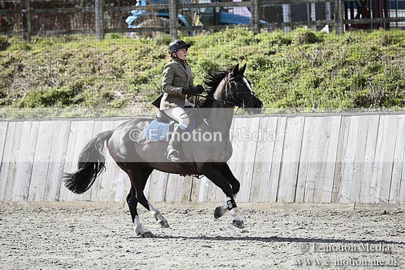 BVRC SJ 170319 398 - Bourne Valley Riding Club Showjumping 17/03/19