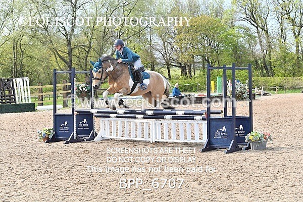 BPP_6707 - CLASS 2 FRI Club/ Unaffiliated 80cms Open