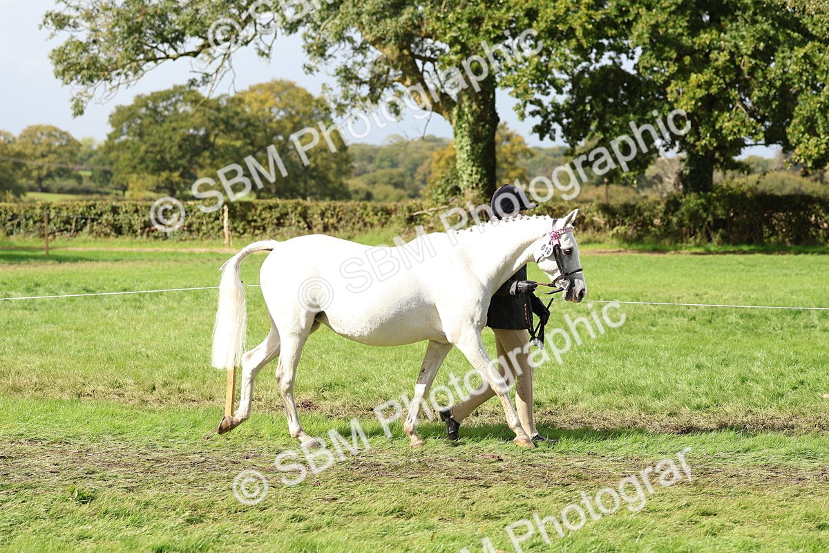 SBM_39402 - S24 - Young Veteran In Hand