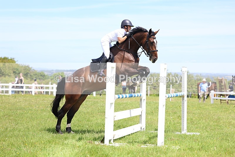 3E7A1294 - Class 12: Senior Foxhunter/1.20 open